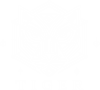 Logo Alternativa